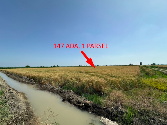 ADANA KOZAN'DA 28.874 M2 SATILIK TARLA